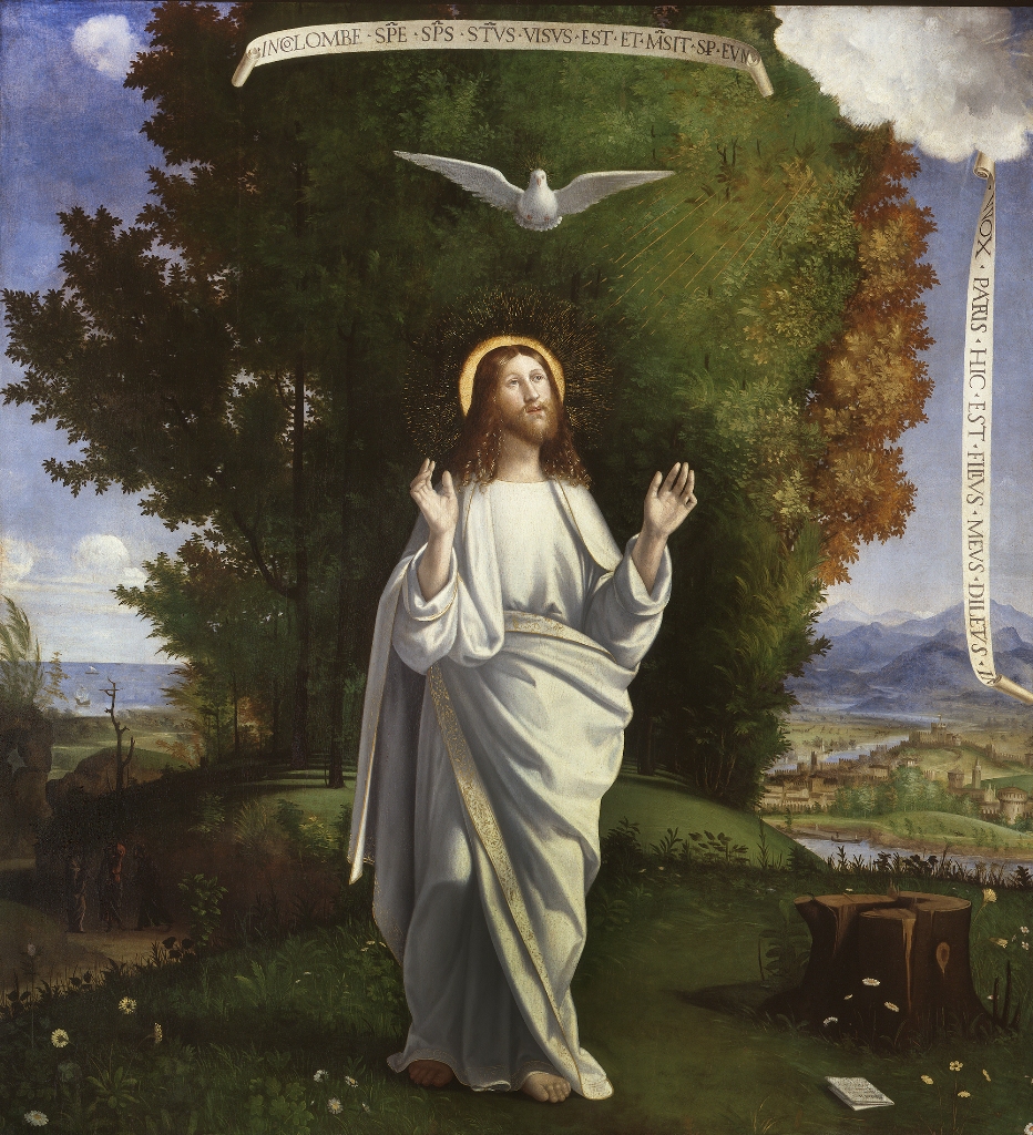 Andrea Previtali's Transfiguration of Christ for the landscape of the Bergamo countryside.